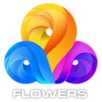 Najeeb has Worked with Flowers TV - as an Animation lead and video editor